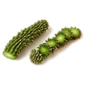 hoodia gordonia - kompozicija Reduslim