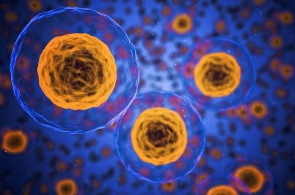 Kaip vyksta svorio metimo procesas